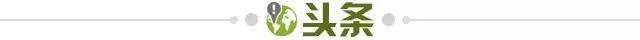 乐鱼体育网页版登录入口-【早报】三喵继续这么踢，安眠药快滞销了