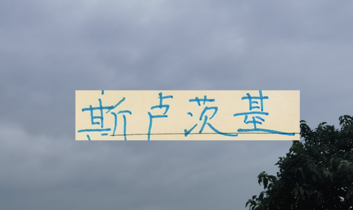 乐鱼体育官方网站-2026赛季！申花“司机”还会三线全力以赴吗